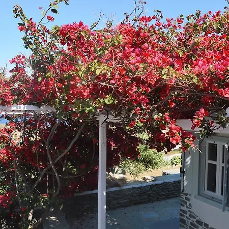 Апартаменты Efthymia Фарос