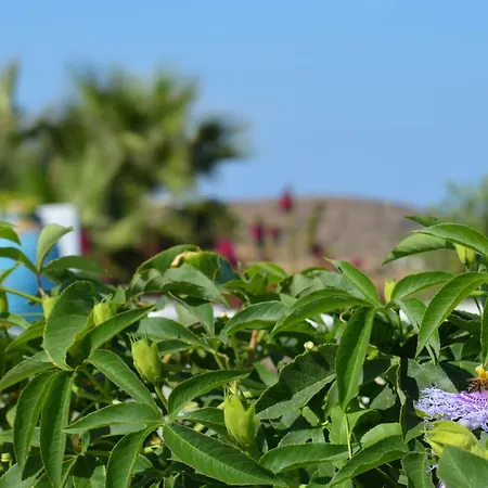 Апартаменты Efthymia Фарос